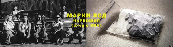 гидра Абаза