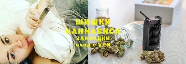 гидра Абаза