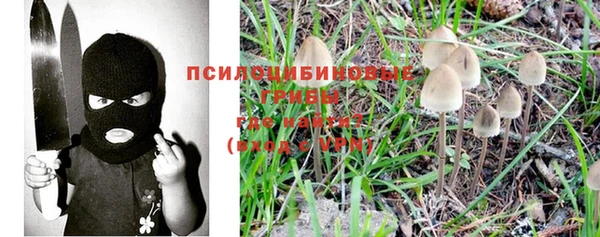 гидра Абаза