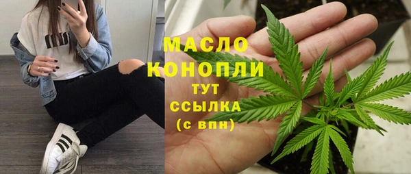 гидра Абаза