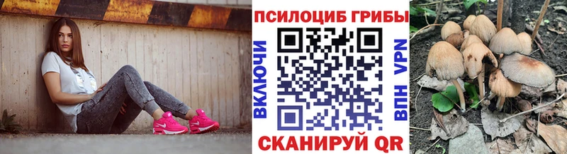 Псилоцибиновые грибы мицелий  Иваново 