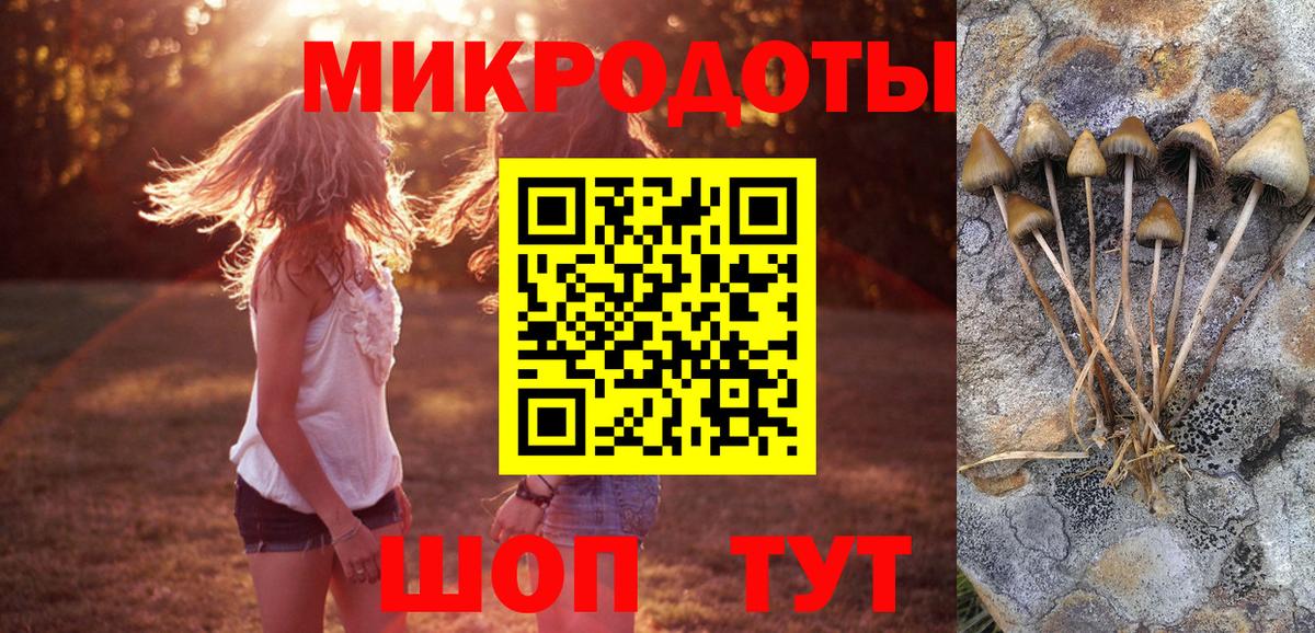 хочу наркоту  Вход с VPN  Иваново  Галлюциногенные грибы Psilocybe 